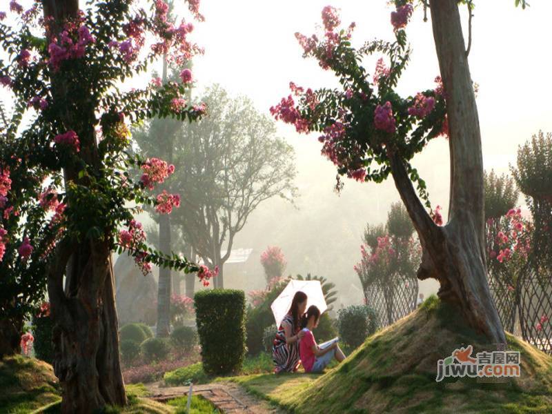双龙紫薇园实景图图片