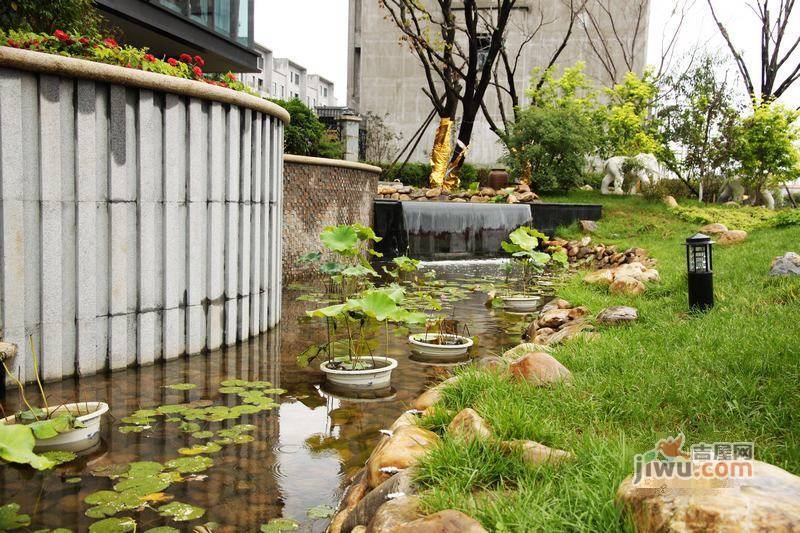 德商国际花园实景图图片