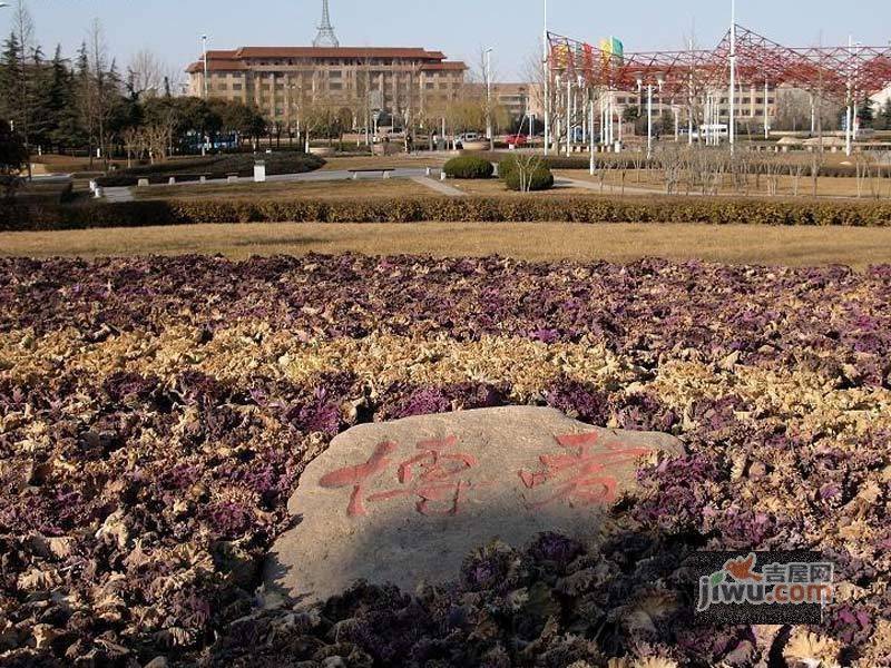 青岛天安数码城产业C区数联大厦配套图图片