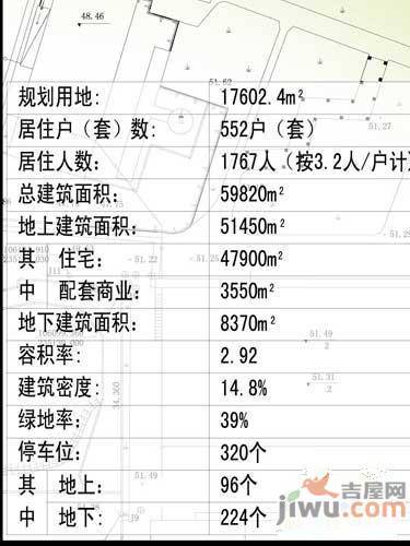 香缇树实景图图片