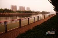 新城渤海湾花园配套图图片