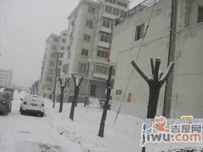 迟家小区实景图图片