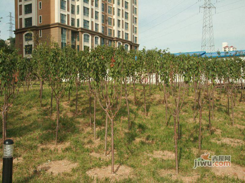 碧桂园凤凰山庄实景图图片