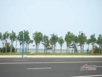 银和怡海天越湾实景图图片