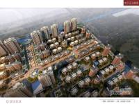 泰莱桃村国际城沙盘图图片