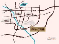 华润仰山红叶林位置交通图图片