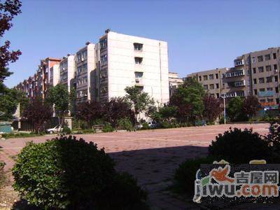 化纤小区实景图图片