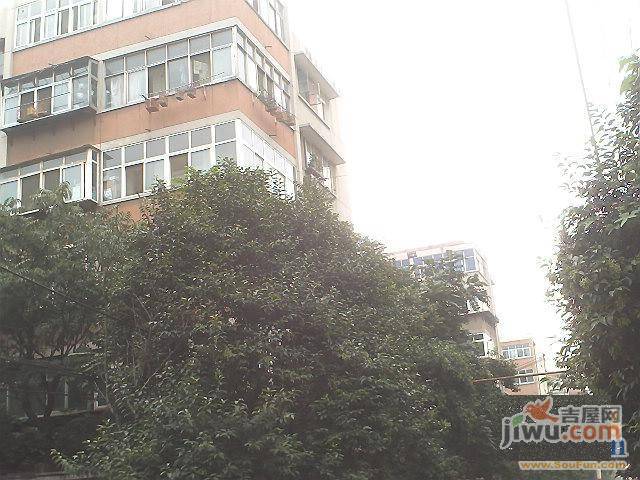 机车新村实景图图片