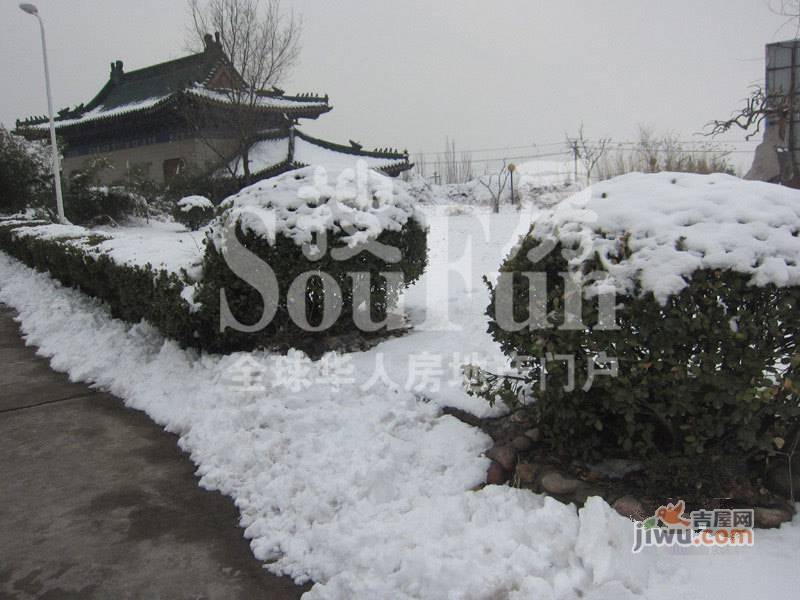 金宫山庄实景图图片