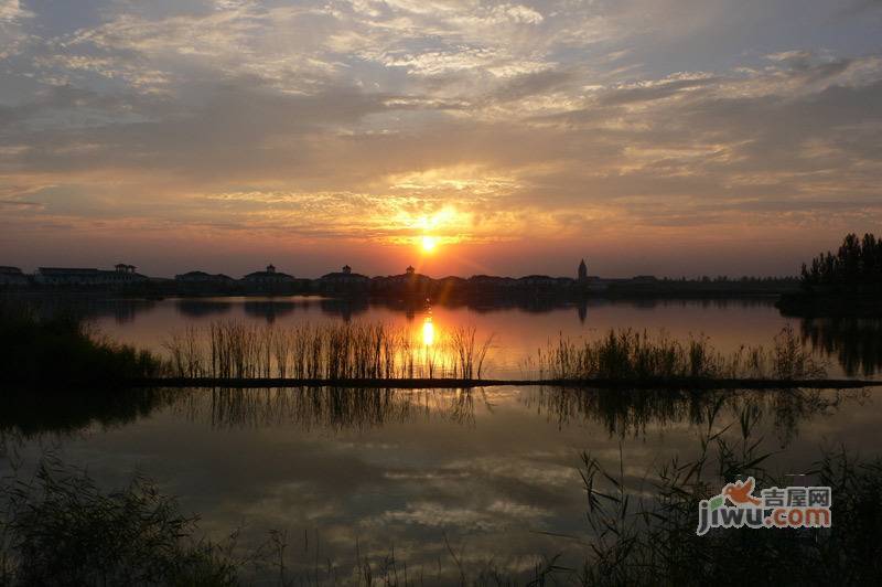 藏珑(齐鲁水郡温泉岛二期)实景图图片