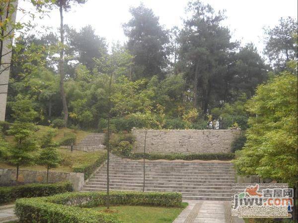 宝安松景阁实景图图片