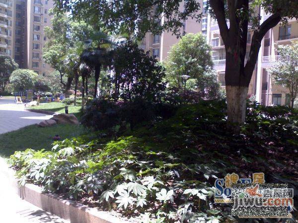 福楼旺邸二期实景图图片