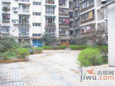 湘雅村近水楼旁实景图图片