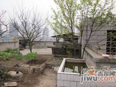 贵钢虹桥状元小区实景图图片