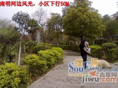 同欣苑实景图图片