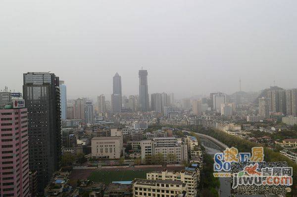 金豪大厦实景图图片
