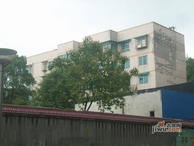 贵政大厦实景图图片