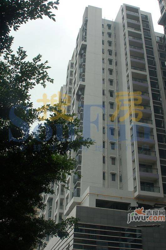 贵政大厦实景图图片