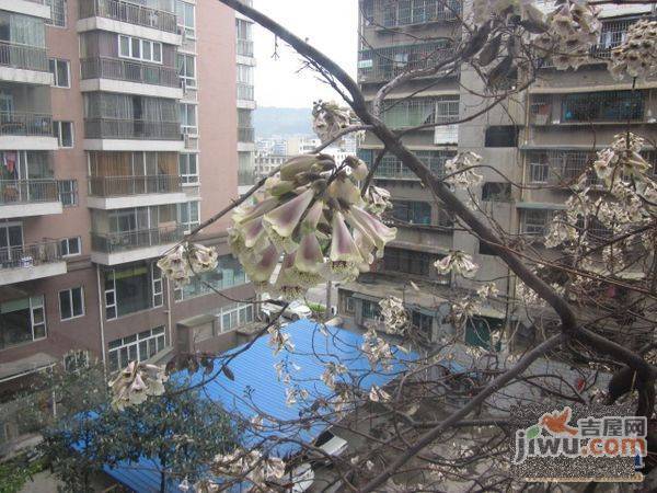 解放西路小区房实景图图片