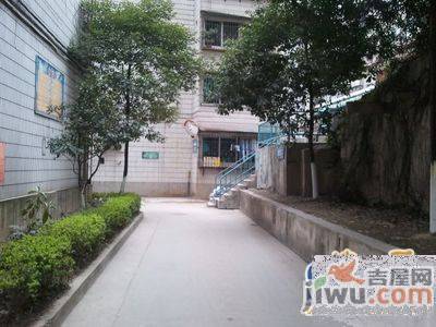 虹桥小区实景图图片