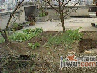 虹桥小区实景图图片