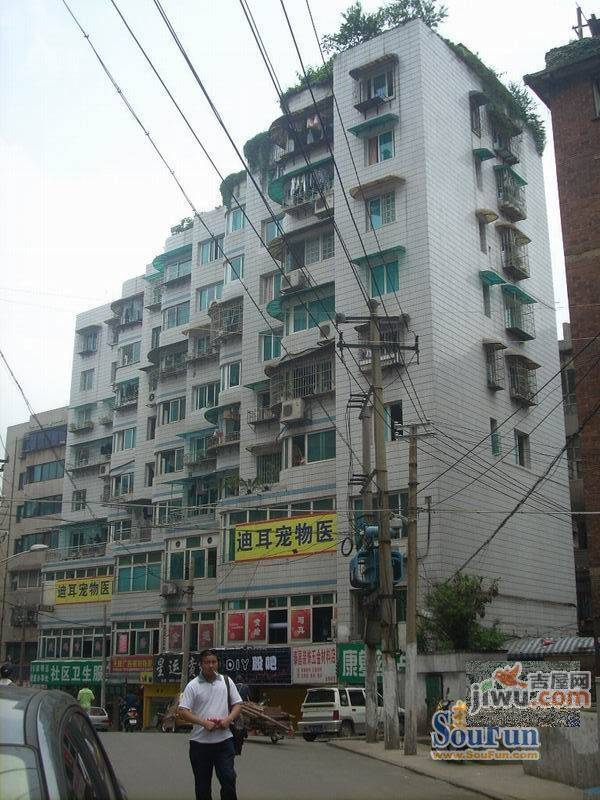 醒狮路社区实景图图片