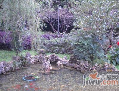 青云小区实景图图片