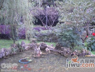 青云小区实景图图片
