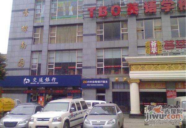 香樟南国实景图图片