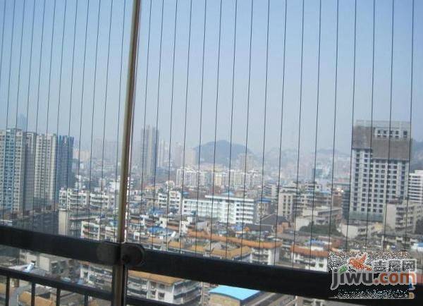 香樟南国实景图图片