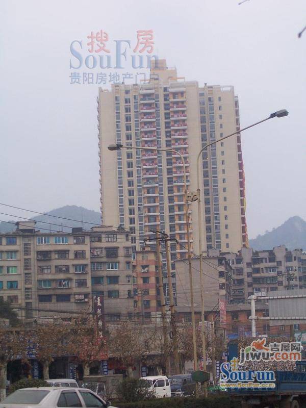 香樟南国实景图图片