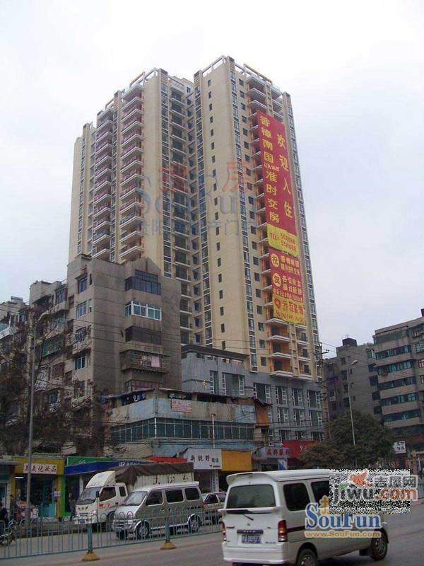 香樟南国实景图图片