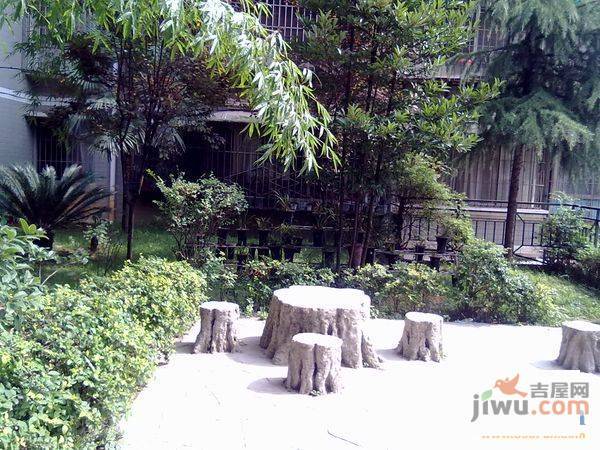 绿景家园实景图图片