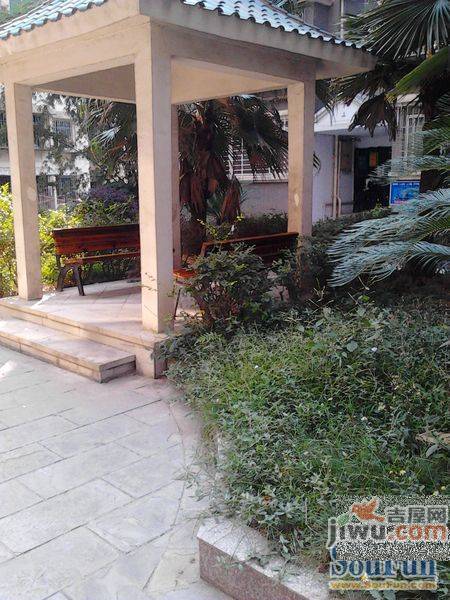 绿景家园实景图图片