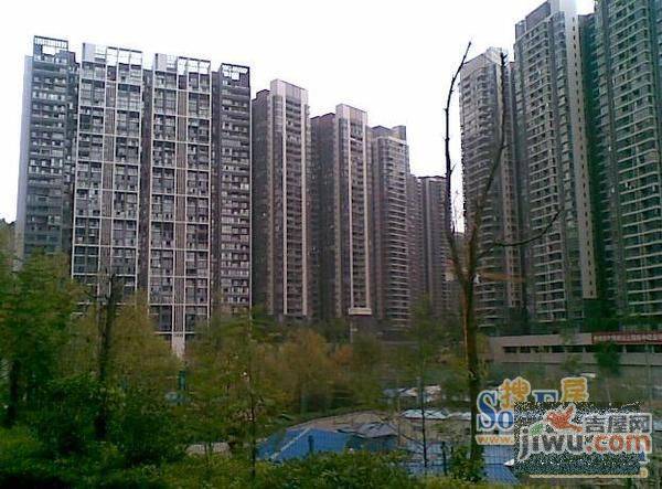 市南路(保利国际广场旁边)实景图图片