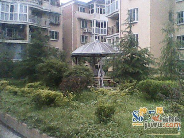 碧树云天实景图图片