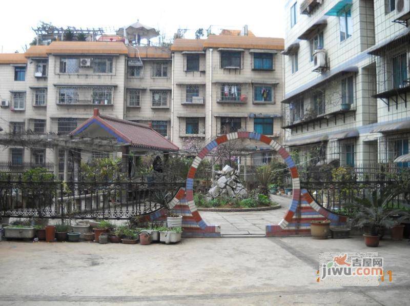 碧树云天实景图图片