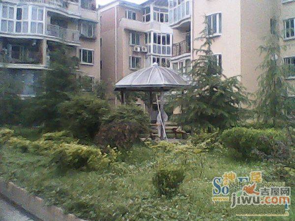 碧树云天实景图图片