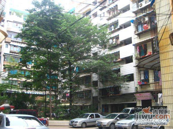宅吉后花园实景图图片