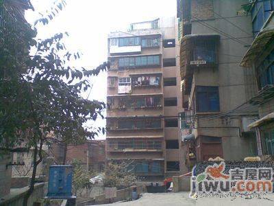 宅吉后花园实景图图片