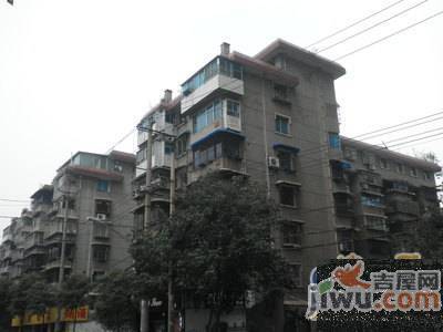 宅吉后花园实景图图片