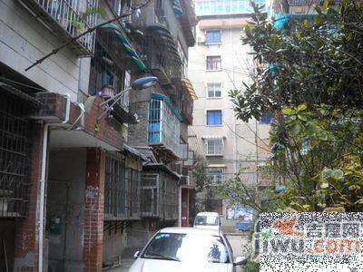 宅吉后花园实景图图片