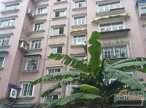 友谊花园实景图图片