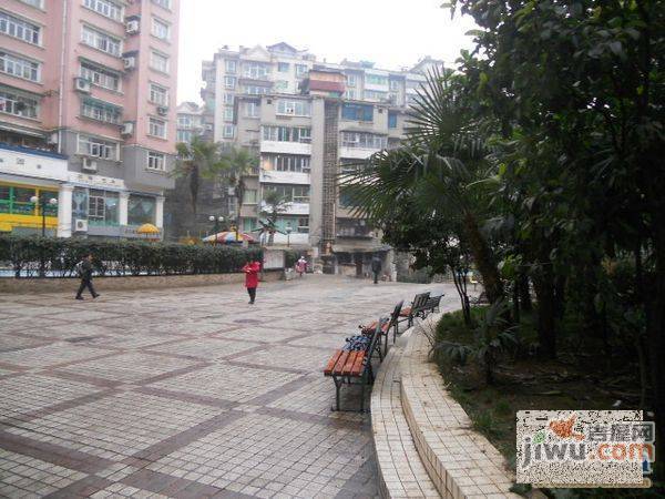 友谊花园实景图图片