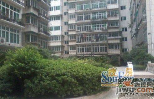 解放西路小区房实景图图片