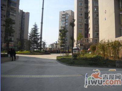 美树阳光实景图图片