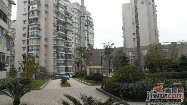 美树阳光实景图图片