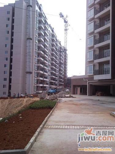 美树阳光实景图图片