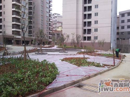 美树阳光实景图图片