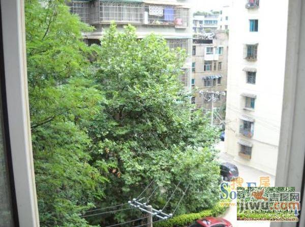 绿景家园实景图图片